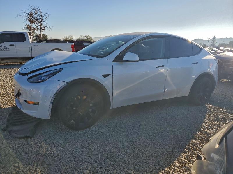 2021 TESLA MODEL Y — VIN 5YJYGDEEXMF287364