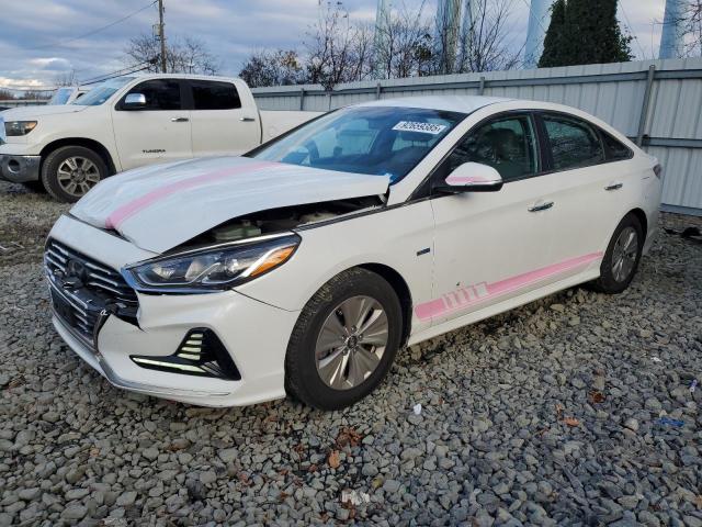 2019 HYUNDAI SONATA HYB — VIN KMHE24L34KA091800