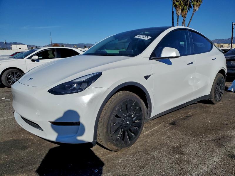 2024 TESLA MODEL Y — VIN 7SAYGDED4RF040147