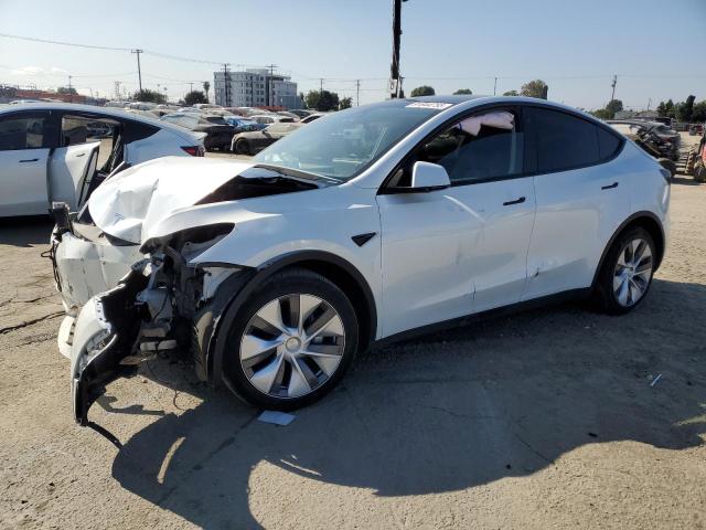 2023 TESLA MODEL Y — VIN 7SAYGDEF0PA049598