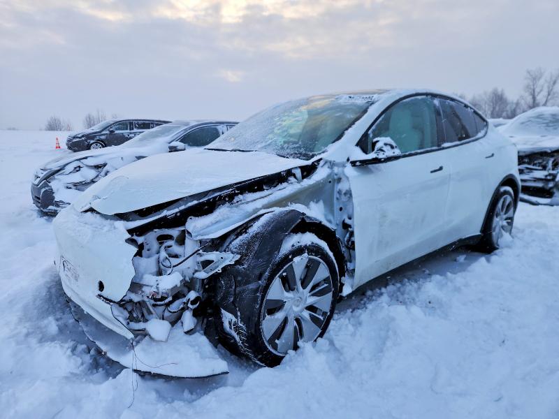 2023 TESLA MODEL Y — VIN 7SAYGDEE3PF673406
