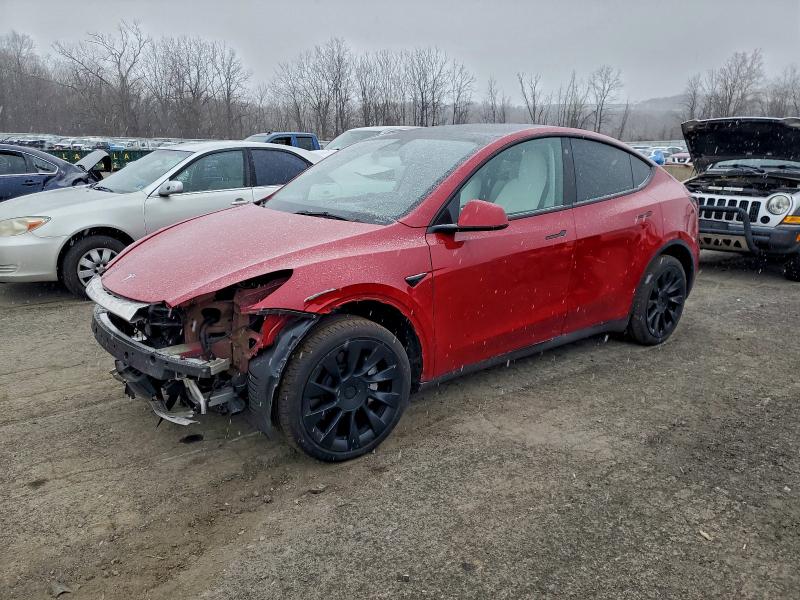 2023 TESLA MODEL Y — VIN 7SAYGDEE0PF690826
