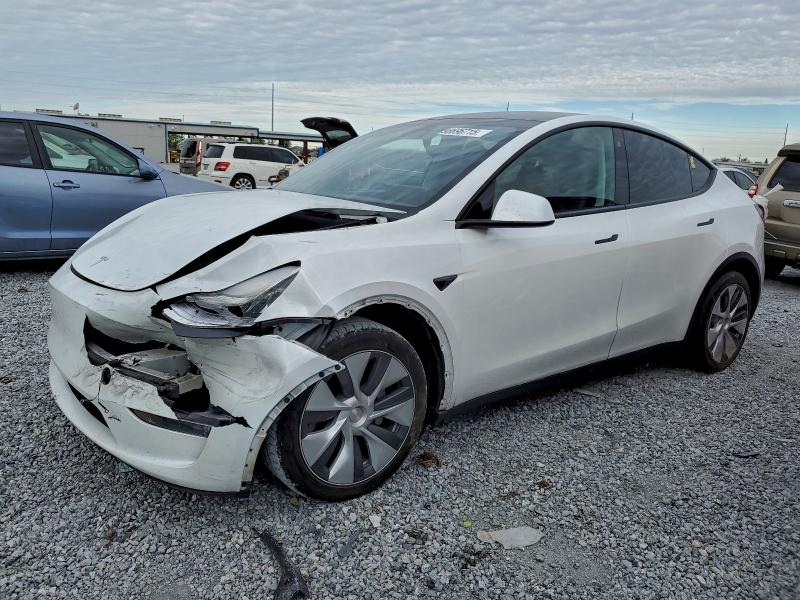 2023 TESLA MODEL Y — VIN 7SAYGDEEXPA125769