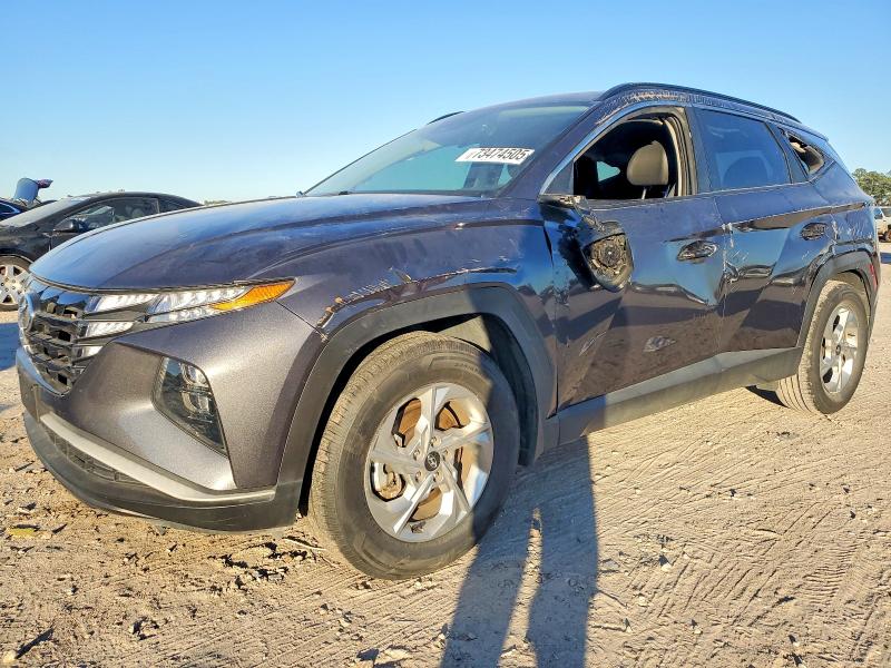 2024 HYUNDAI TUCSON — VIN KM8JB3DE8RU282556
