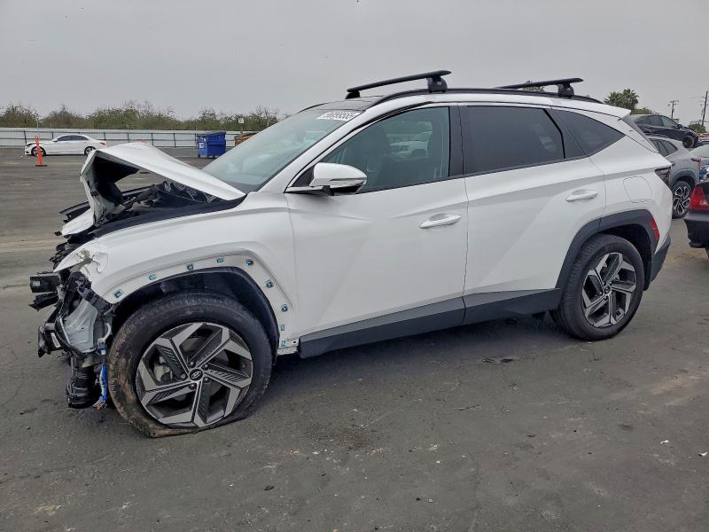 2023 HYUNDAI TUCSON LIM — VIN 5NMJECAE4PH234573
