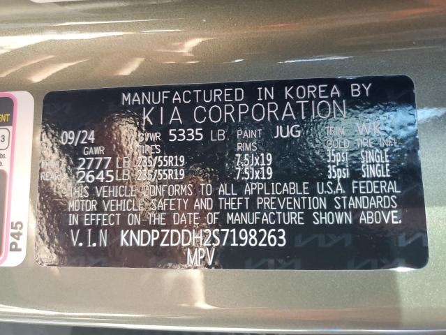 KNDPZDDH2S7198263