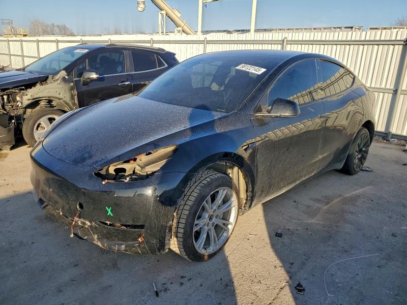 2023 TESLA MODEL Y — VIN 7SAYGDEE6PA087697