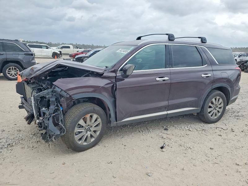 2025 HYUNDAI PALISADE — VIN KM8R2DGEXSU841454