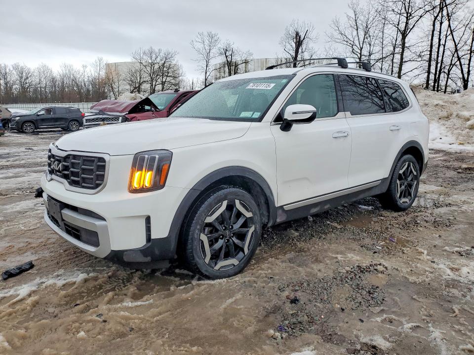 2024 KIA TELLURIDE — VIN 5XYP6DGC4RG502604