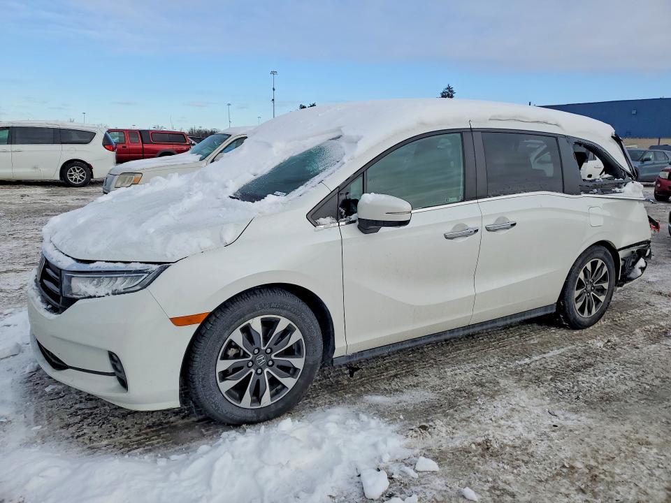 2021 HONDA ODYSSEY — VIN 5FNRL6H77MB020692