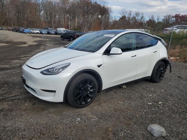2021 TESLA MODEL Y — VIN 5YJYGDEE4MF184599