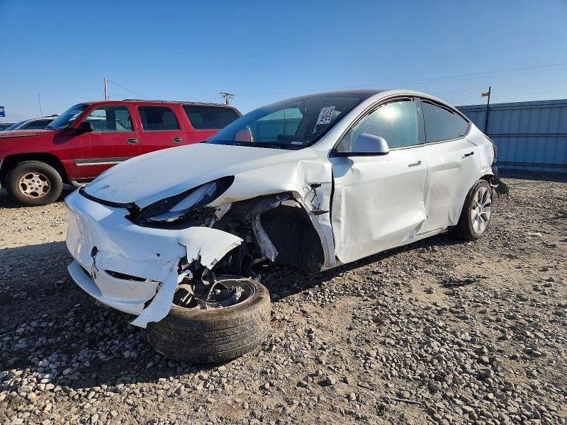 2023 TESLA MODEL Y — VIN 7SAYGAEE9PF946931