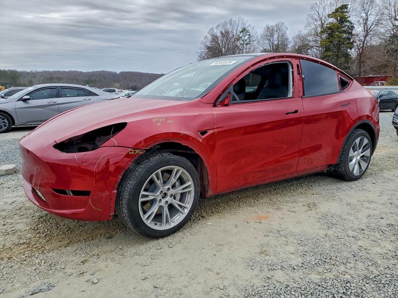 2023 TESLA MODEL Y — VIN 7SAYGDEE6PA059818