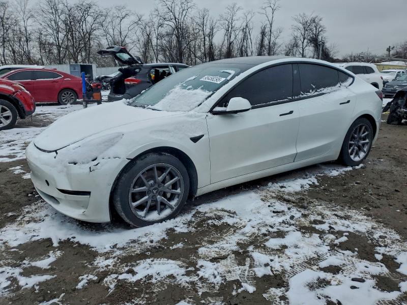 2021 TESLA MODEL 3 — VIN 5YJ3E1EA2MF919799