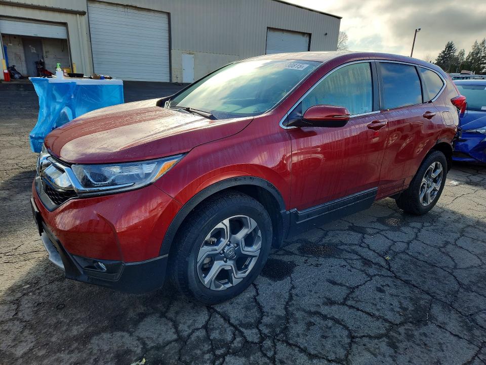 2019 HONDA CR-V — VIN 5J6RW2H54KL012357