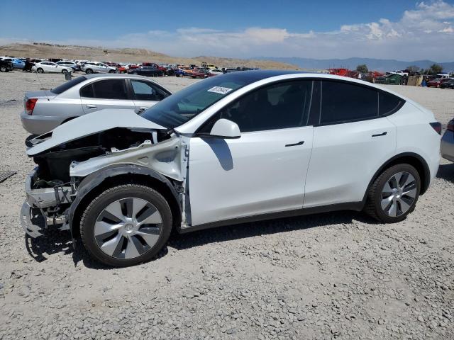 2023 TESLA MODEL Y — VIN 7SAYGDEE1PF604021