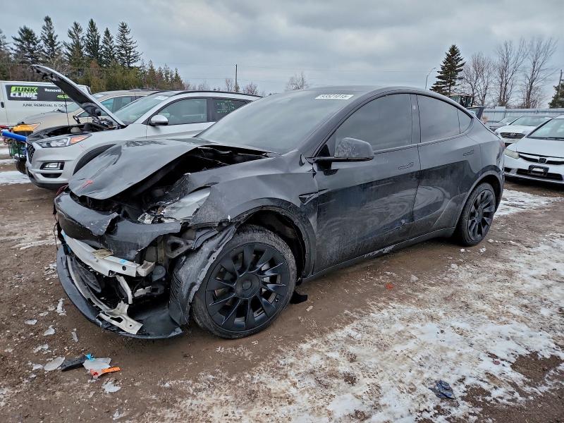 2024 TESLA MODEL Y — VIN 7SAYGDED0RF063831