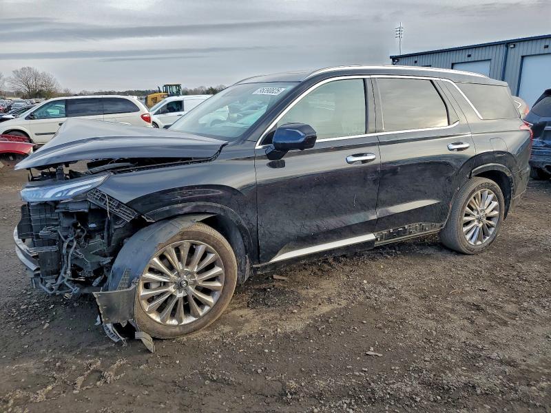 2020 HYUNDAI PALISADE L — VIN KM8R54HE5LU063085