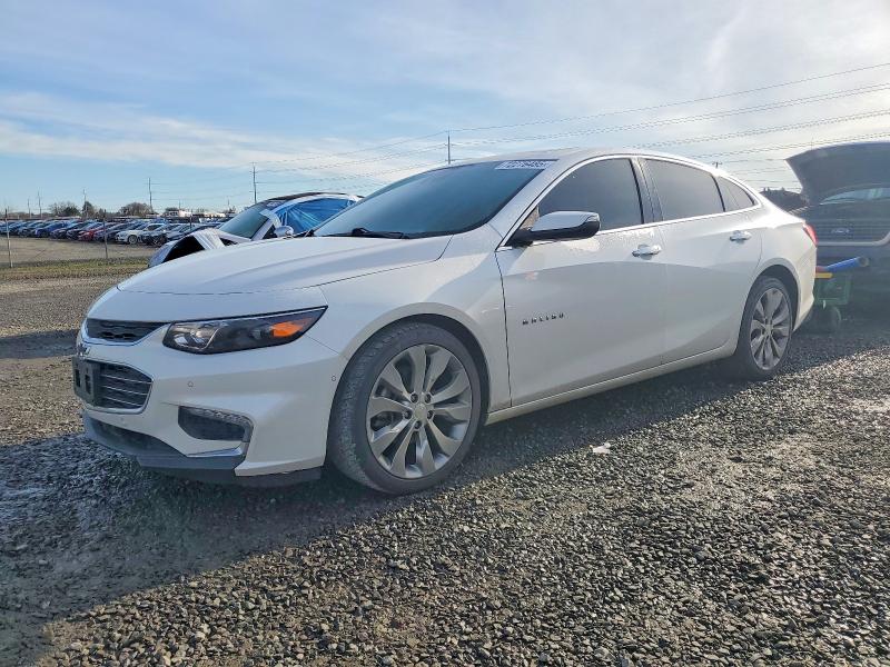 2017 CHEVROLET MALIBU — VIN 1G1ZH5SX8HF175511
