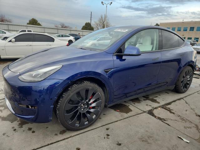 2022 TESLA MODEL Y — VIN 7SAYGDEF5NF552656