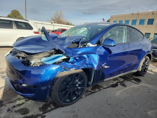 2023 TESLA MODEL Y — VIN 7SAYGDEE0PA203640