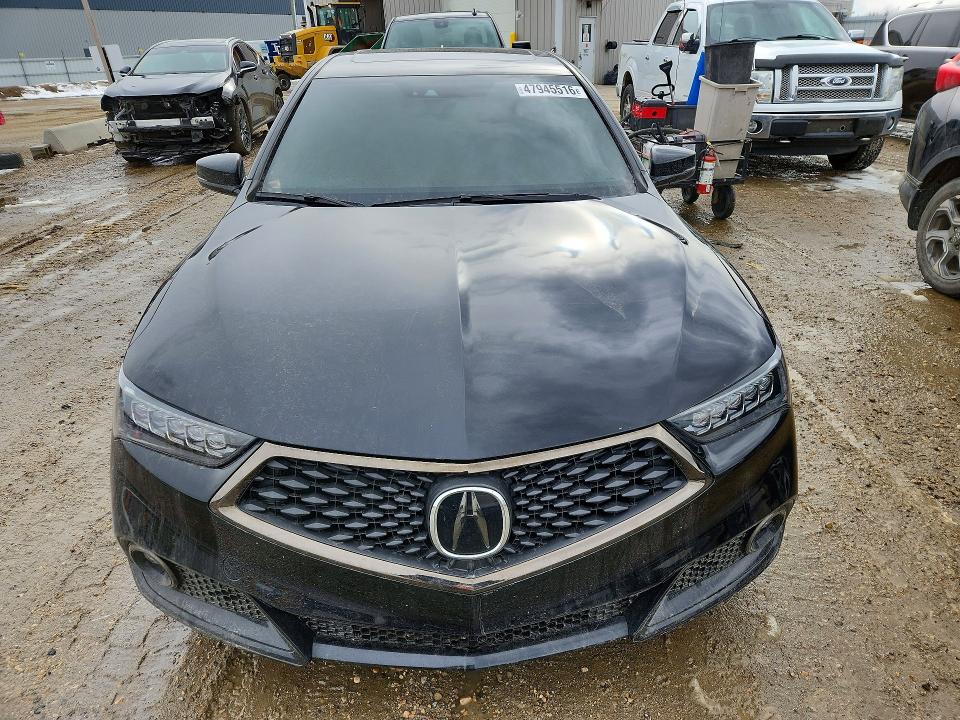 19UUB1F61JA801207