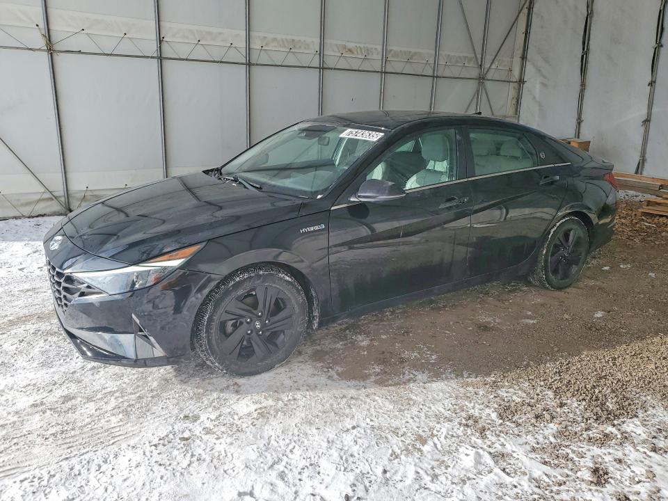 2021 HYUNDAI ELANTRA LI — VIN KMHLN4AJ2MU004882