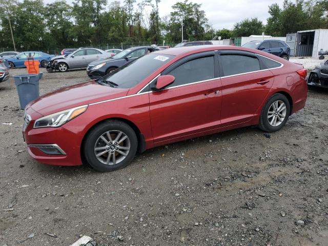 5NPE24AF8FH221660