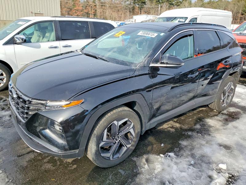 2024 HYUNDAI TUCSON LIM — VIN KM8JECD14RU146817