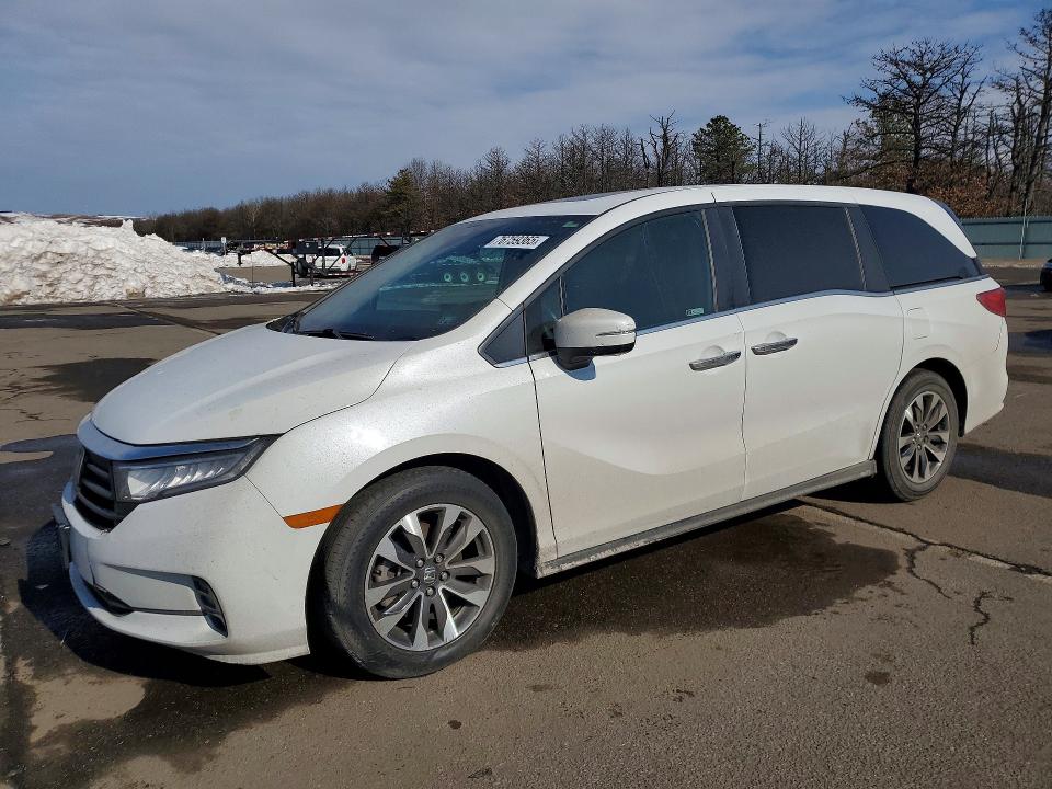 2021 HONDA ODYSSEY — VIN 5FNRL6H72MB015237