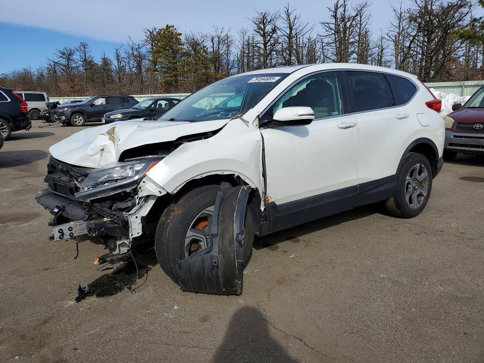 2019 HONDA CR-V — VIN 7FARW2H56KE022109
