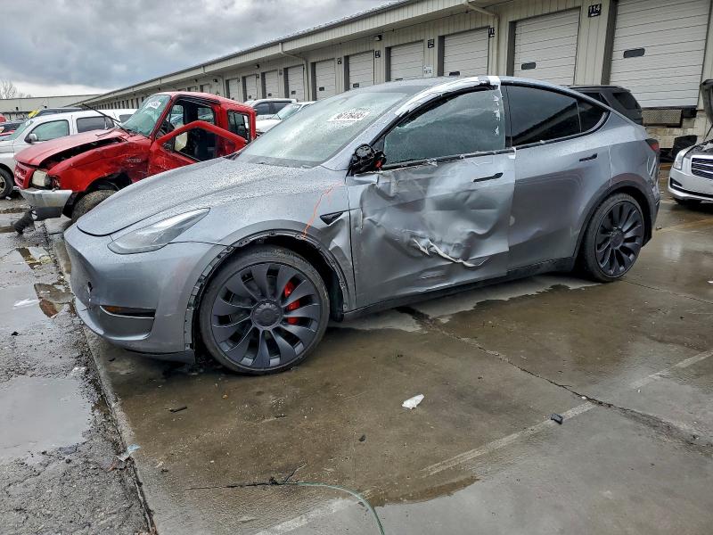 2024 TESLA MODEL Y — VIN 7SAYGDEF4RA308287
