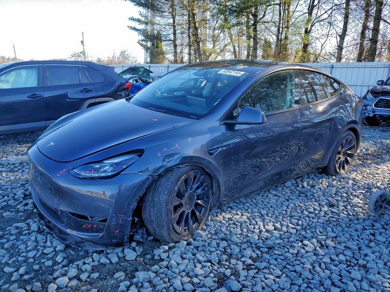 2024 TESLA MODEL Y — VIN 7SAYGDEE2RA243544