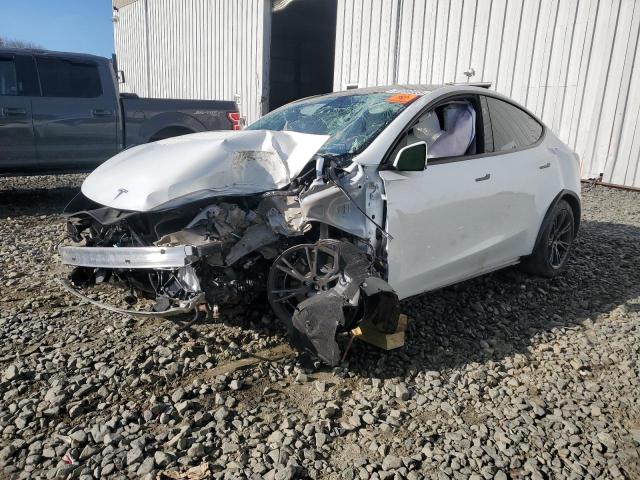 2024 TESLA MODEL Y — VIN 7SAYGDEE9RF179182