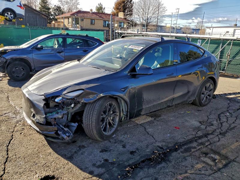 2024 TESLA MODEL Y — VIN 7SAYGDEE0RF121039