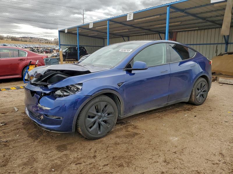 2024 TESLA MODEL Y — VIN 7SAYGAEEXRF099520