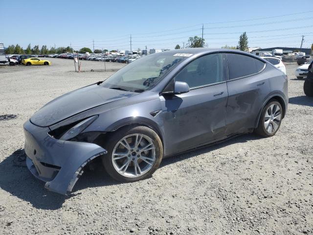 2023 TESLA MODEL Y — VIN 7SAYGAEEXPF764896
