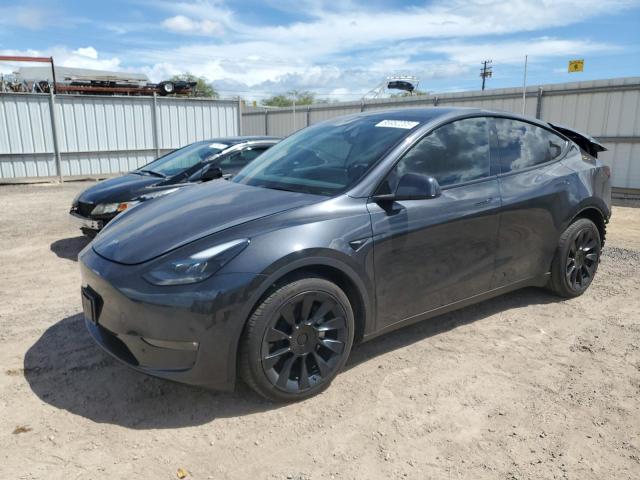 2024 TESLA MODEL Y — VIN 7SAYGDEE7RF989166