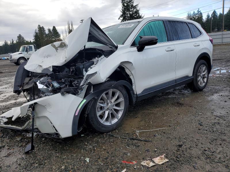 2023 HONDA CR-V — VIN 2HKRS4H79PH416247