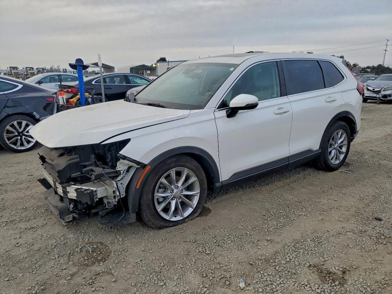 2024 HONDA CR-V — VIN 2HKRS3H48RH301934