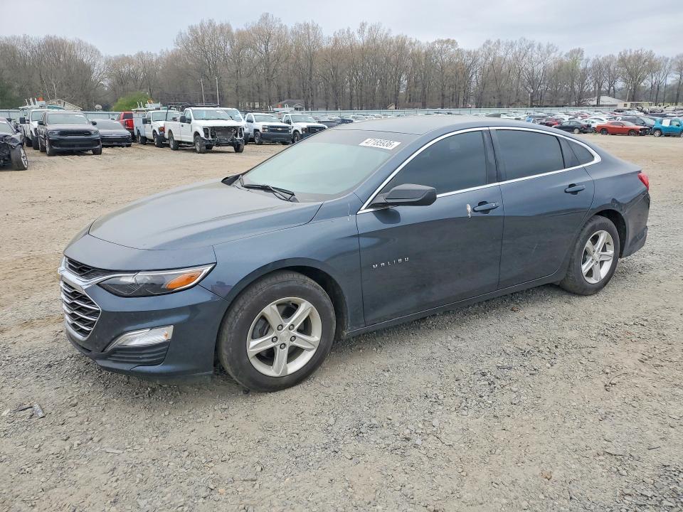 2019 CHEVROLET CHEVLMALBU — VIN 1G1ZB5ST8KF146841