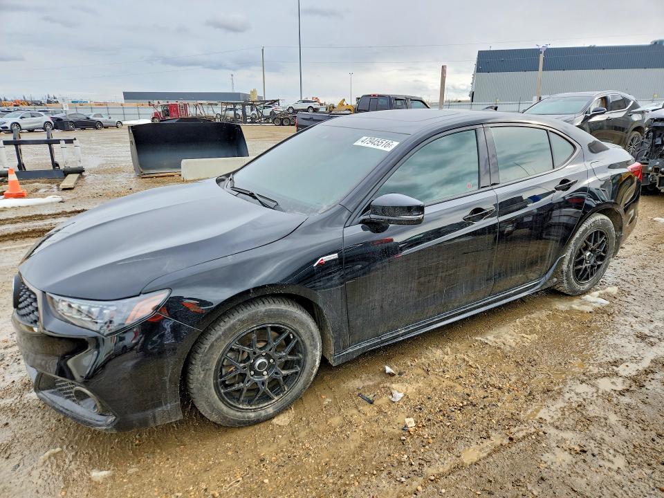 19UUB1F61JA801207