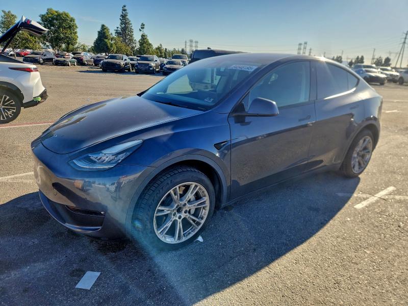 2021 TESLA MODEL Y — VIN 5YJYGDED3MF113952