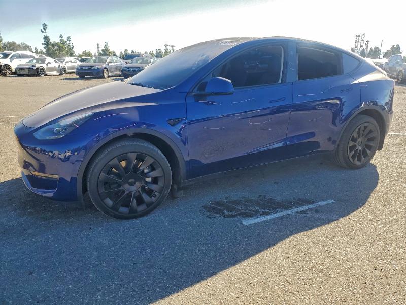 2024 TESLA MODEL Y — VIN 7SAYGDEE6RA248987