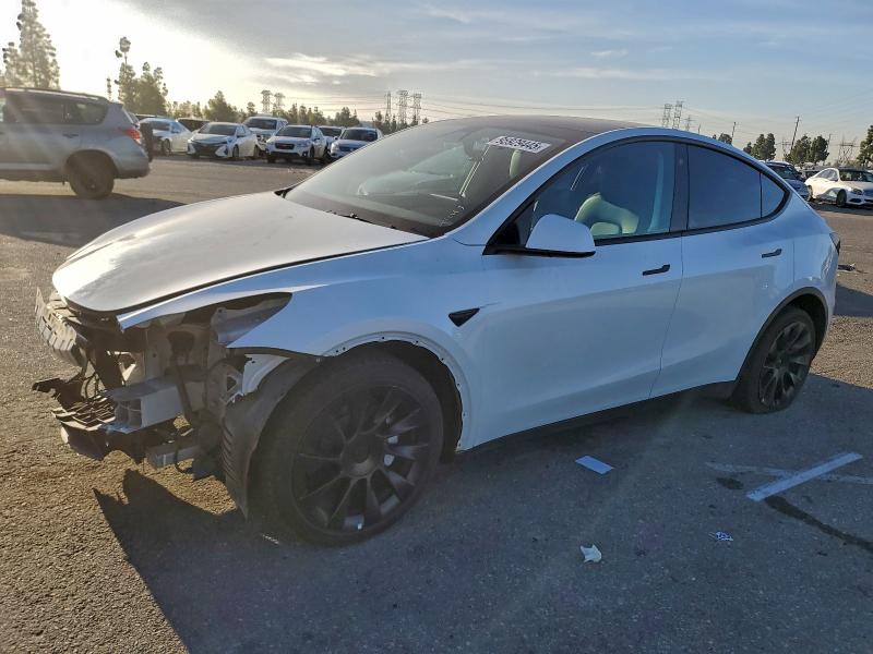2022 TESLA MODEL Y — VIN 7SAYGDEE4NF451177