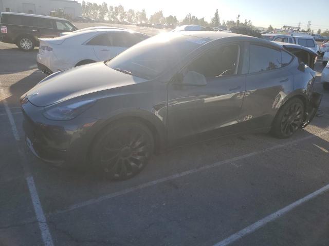 2023 TESLA MODEL Y — VIN 7SAYGDEF0PF900317