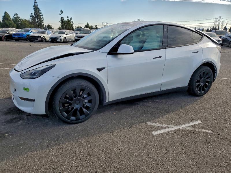2023 TESLA MODEL Y — VIN 7SAYGDEE3PF621001