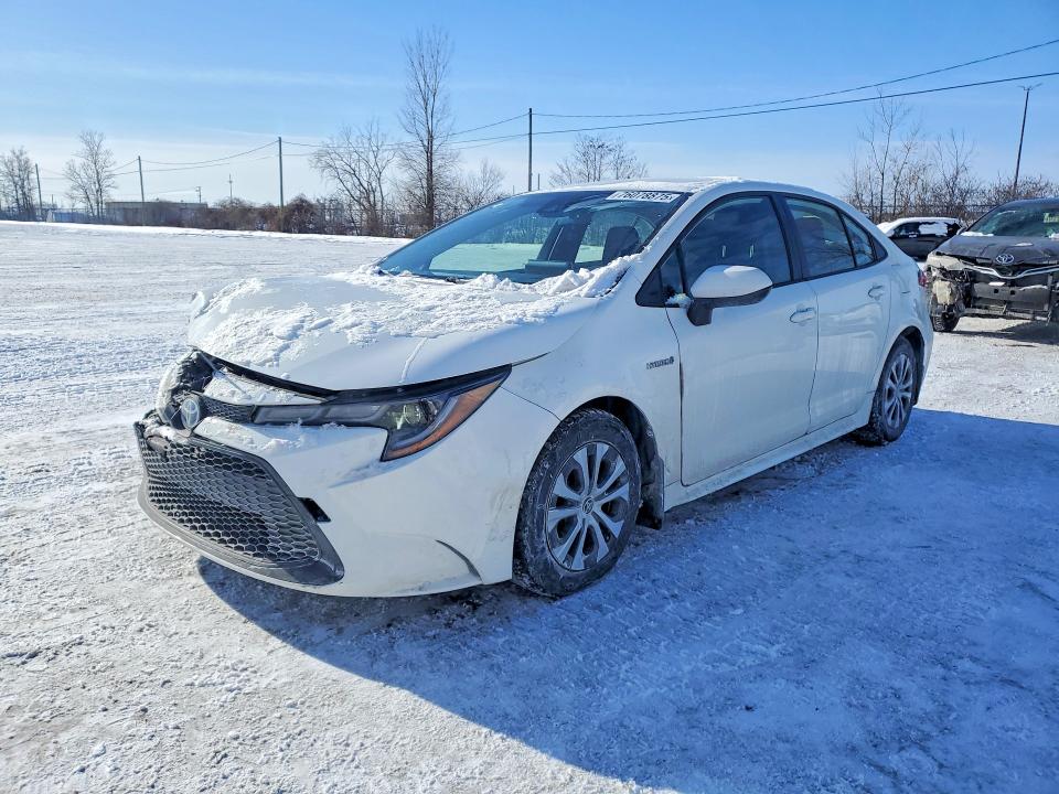 2020 TOYOTA COROLLA — VIN JTDBBRBE5LJ013194