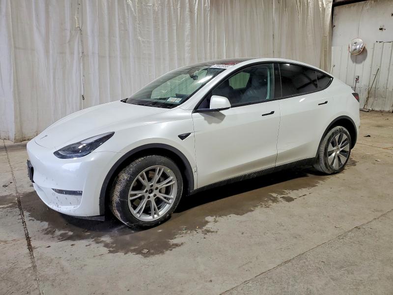2023 TESLA MODEL Y — VIN 7SAYGDEE7PF925982