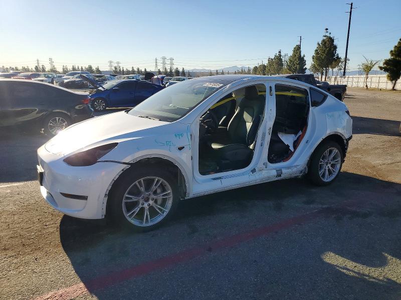 2023 TESLA MODEL Y — VIN 7SAYGDEE5PA073340